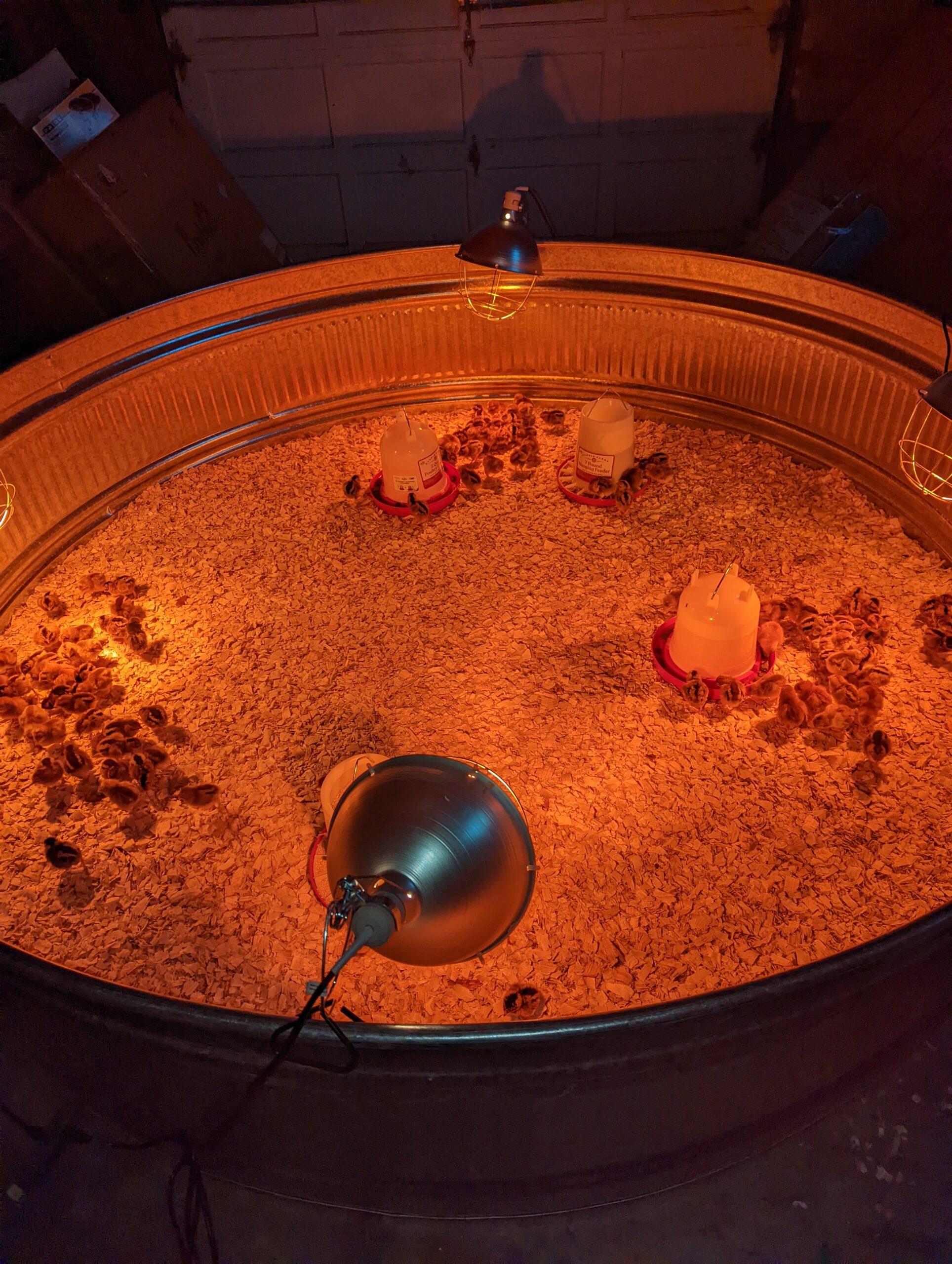 The next chapter of the homestead journey